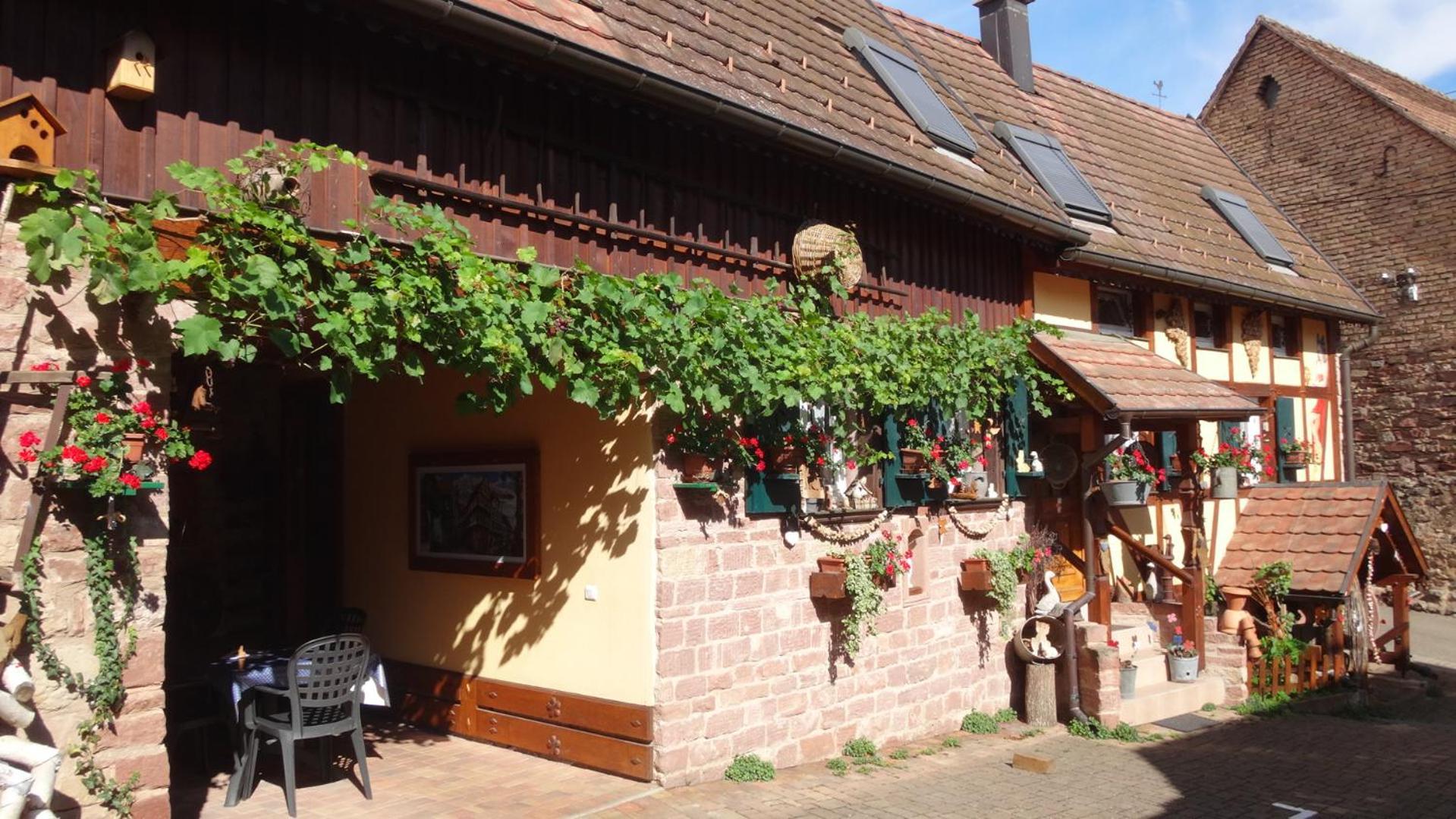 Gite Le Petit Moulin Rosenwiller Luaran gambar