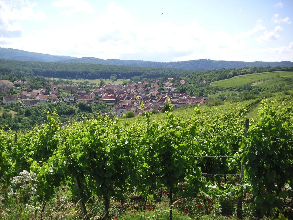 Gite Le Petit Moulin Rosenwiller Luaran gambar