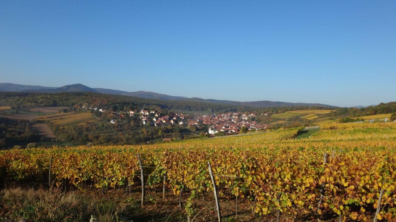 Gite Le Petit Moulin Rosenwiller Luaran gambar