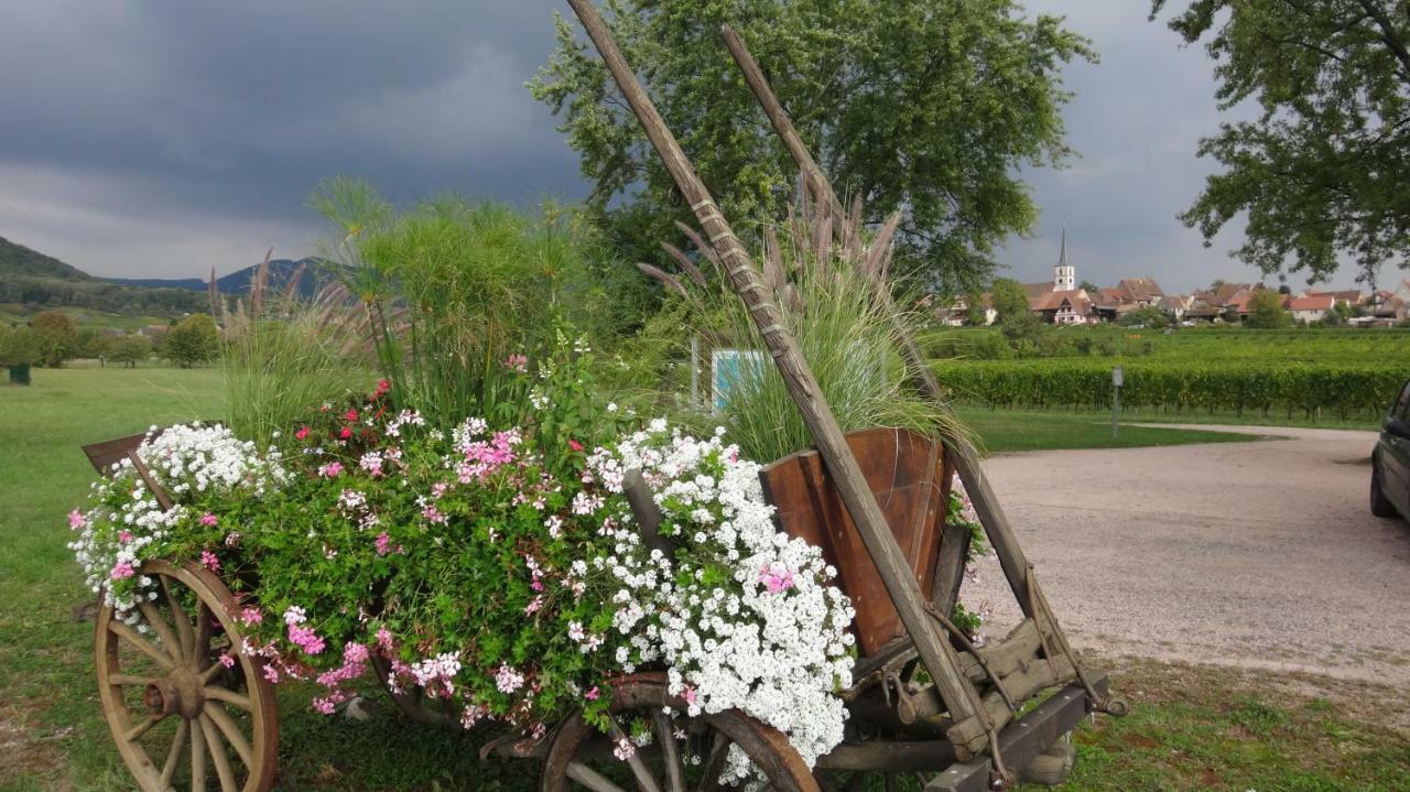 Gite Le Petit Moulin Rosenwiller Luaran gambar