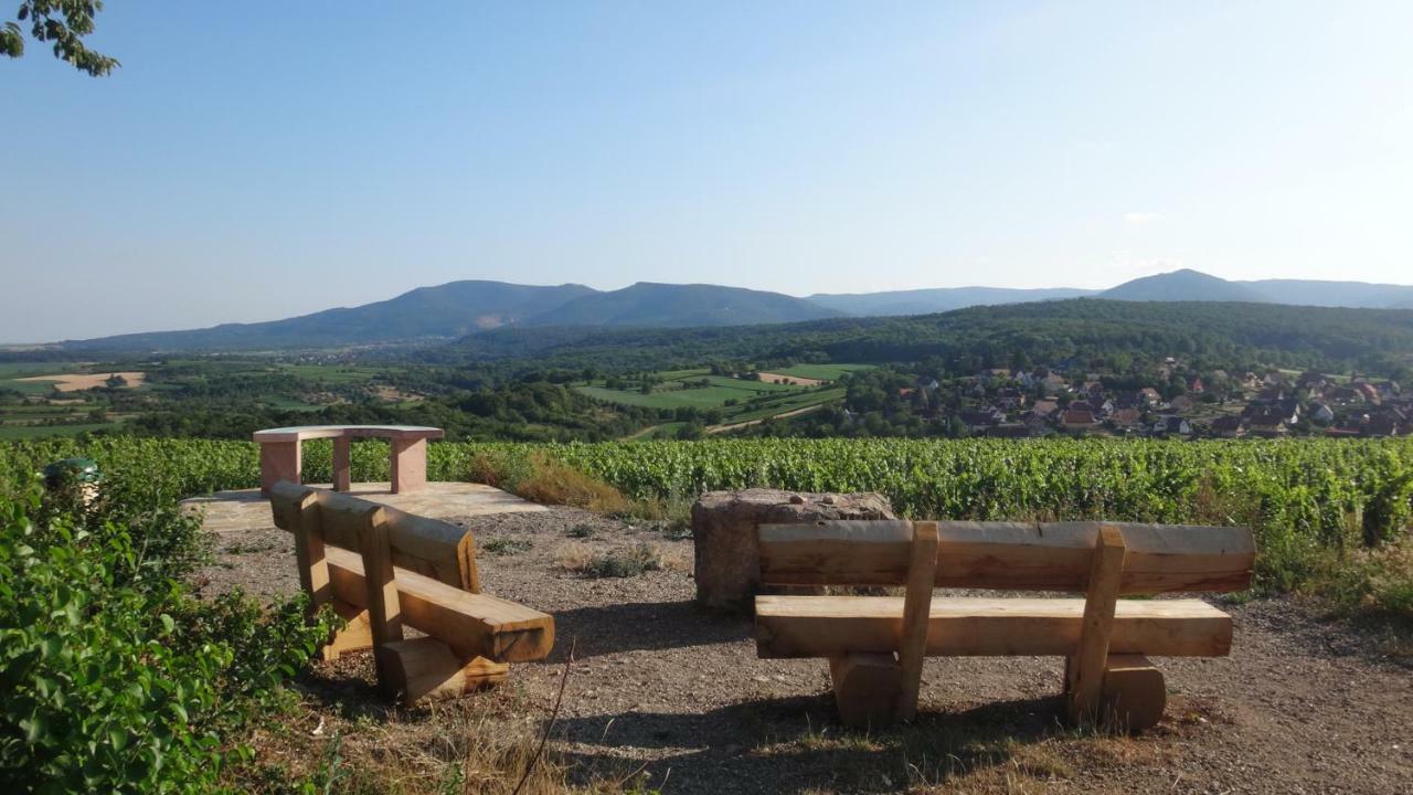 Gite Le Petit Moulin Rosenwiller Luaran gambar