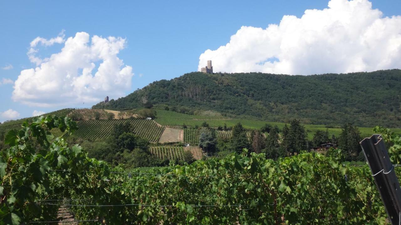 Gite Le Petit Moulin Rosenwiller Luaran gambar
