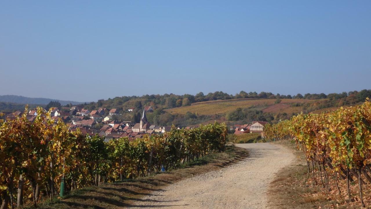 Gite Le Petit Moulin Rosenwiller Luaran gambar